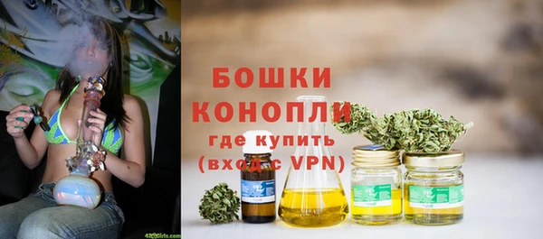 шишки Медногорск