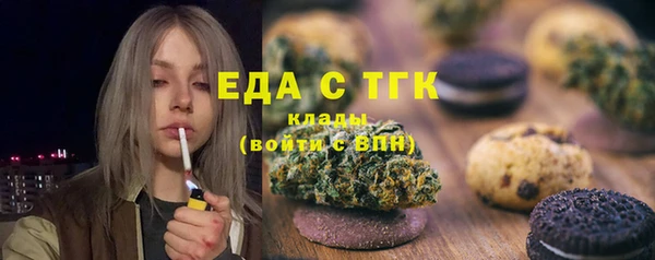 шишки Медногорск