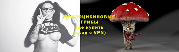 шишки Медногорск