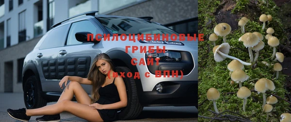 шишки Медногорск