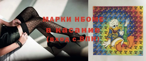 шишки Медногорск