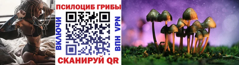 Купить  Жирновск  Галлюциногенные грибы мицелий 